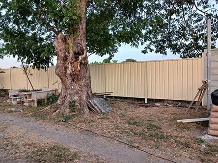 รั้ว มาตรฐานส่งออก 2